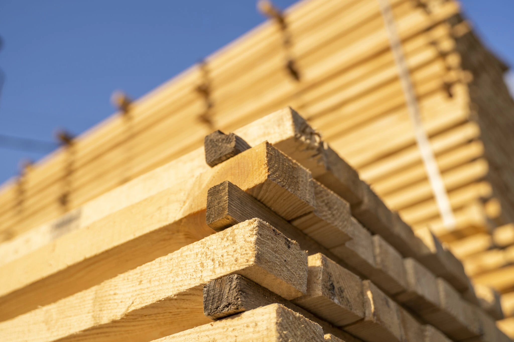 Holz für den Bau