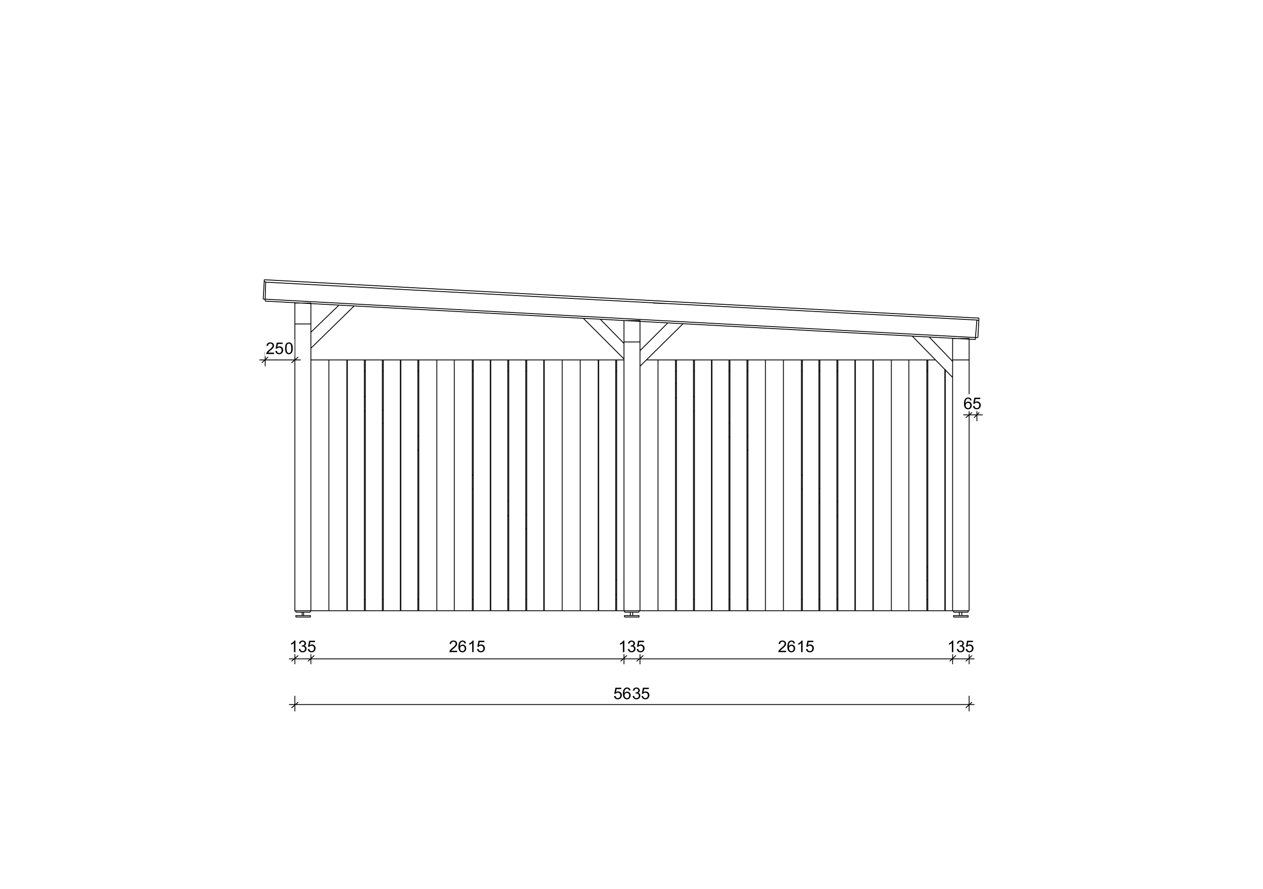 Carport_aus_Holz_Camellia_3x6_W2_PD_2