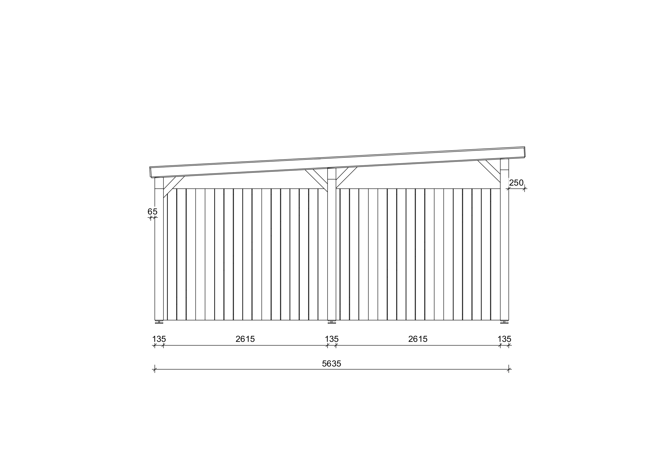 Carport_aus_Holz_Camellia_3x6_W2_PD_4