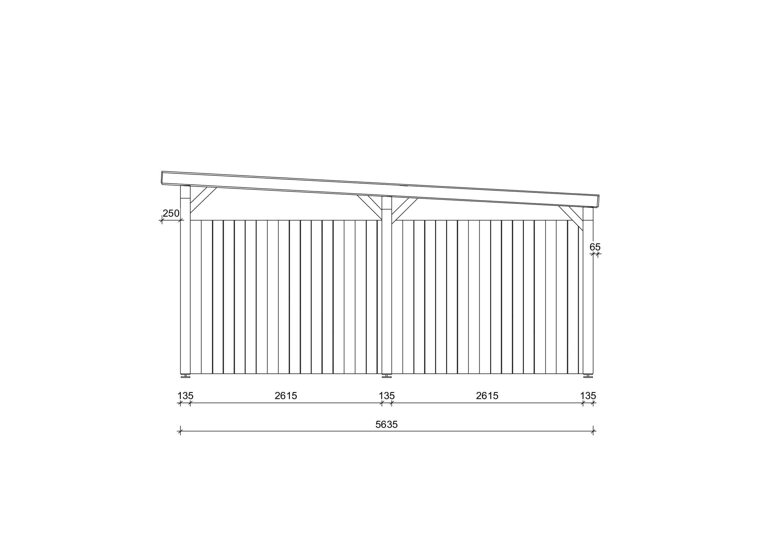Carport_aus_Holz_Camellia_3x6_W3_PD_2