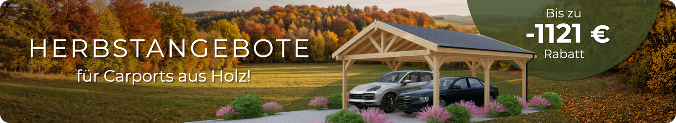 Werbebanner: Herbstangebote für Carports